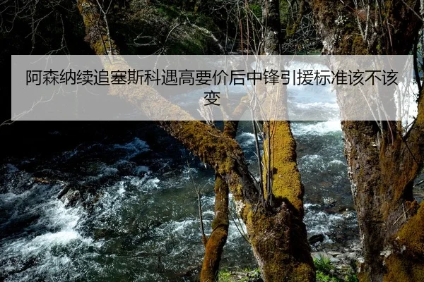 阿森纳续追塞斯科遇高要价后中锋引援标准该不该变