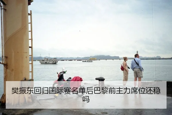 樊振东回归国际赛名单后巴黎前主力席位还稳吗