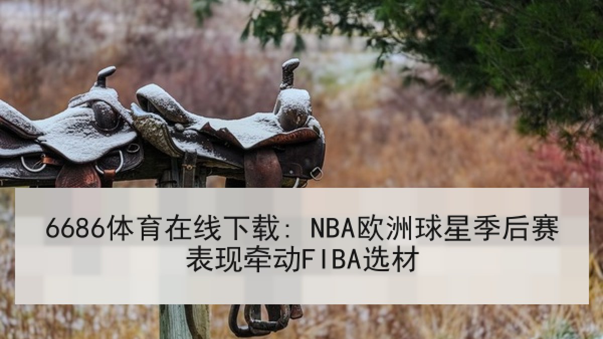 6686体育在线下载: NBA欧洲球星季后赛表现牵动FIBA选材