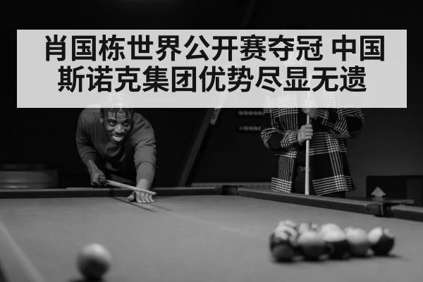 肖国栋世界公开赛夺冠 中国斯诺克集团优势尽显无遗